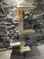 Katzenbaum/treppe
