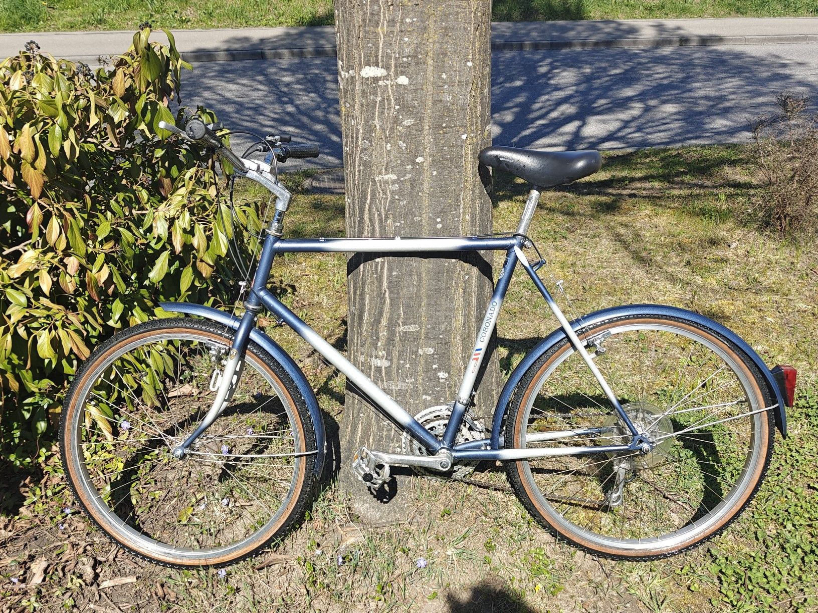 Biciclette: Velo Coronado vintage MTB – Usato da Sempach venduto da sam_z6d2