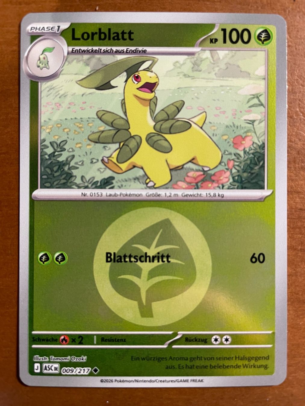 Pokémon Carte collezionabili: Pokemon Lorblatt Reverse (Versand gratis) – Nuovo (secondo la descrizione) da Chur venduto da Angerson