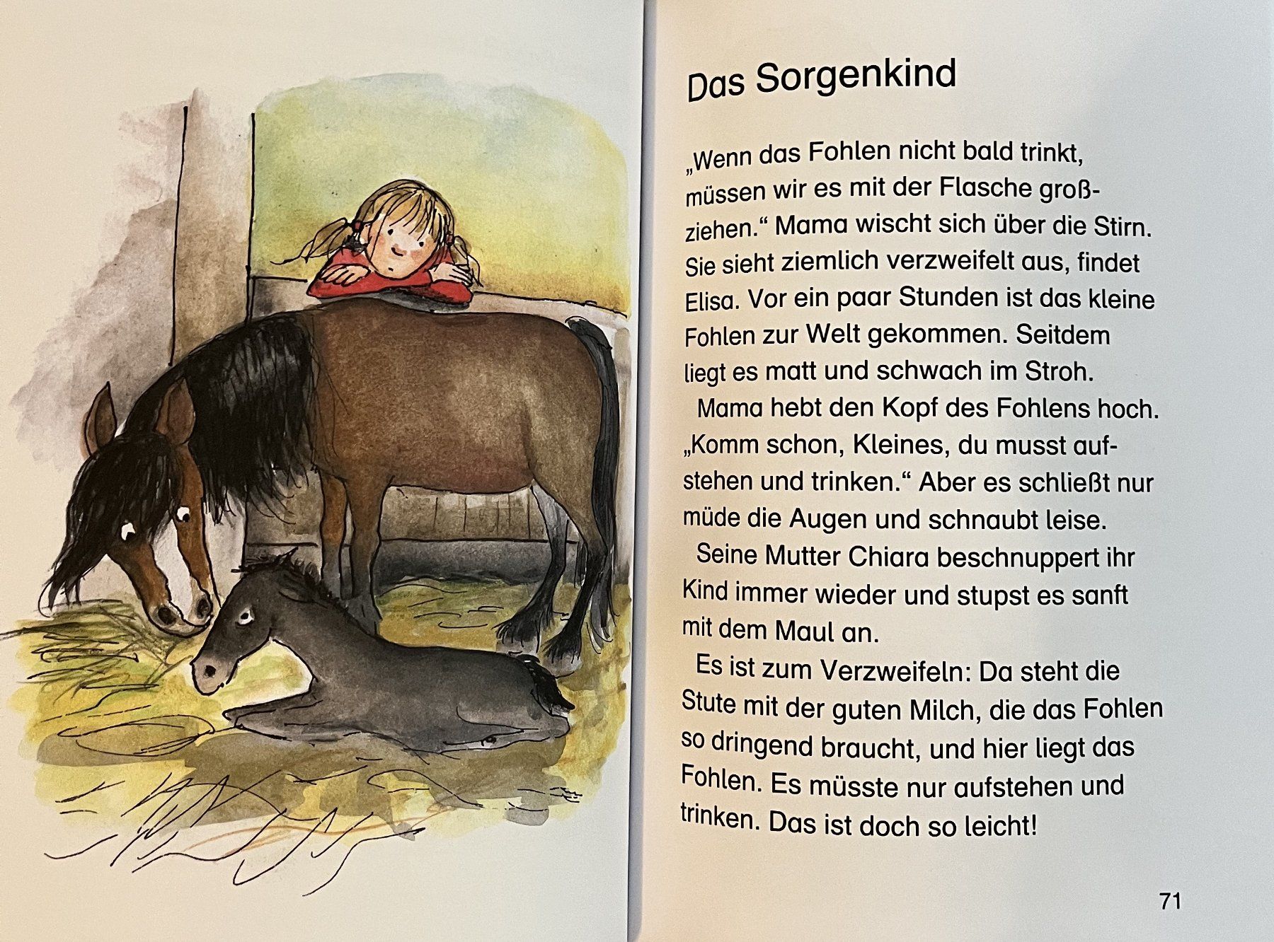 Bücher: Die besten Leselöwen Pferdegeschichten – Gebraucht aus Bühl BE von psos 4