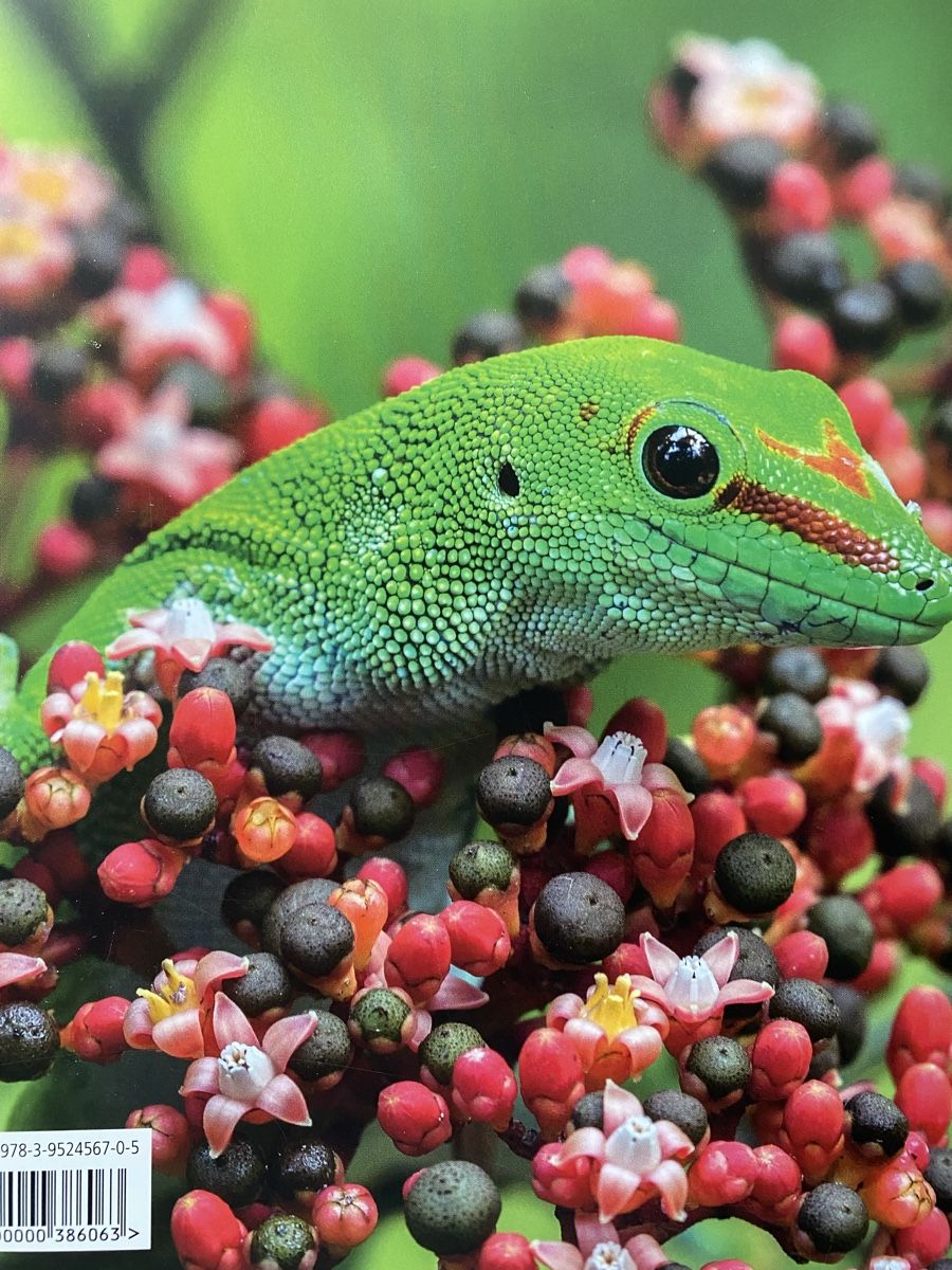 Libri: Informatives Tierbuch Zooführer, Neu! – Nuovo e nell'imballaggio originale da Wetzikon ZH venduto da Louisiana-Girl 1