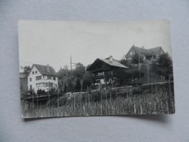 Photo Karte Erlenbach ZH Zürich Wein Trauben ca. Jahr 1920