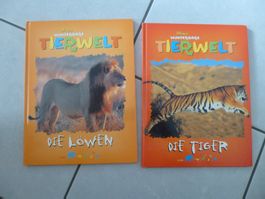 2 Tierweltbücher: Löwen und Tiger - Spiel, Spass und Wissen