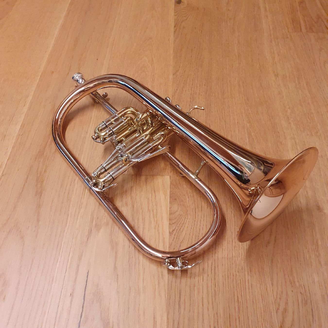 Strumenti musicali: Flügelhorn Monzani – Nuovo (secondo la descrizione) da Disentis/Mustér venduto da Ri170903 3