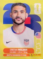 Panini FIFA World Cup USA 11