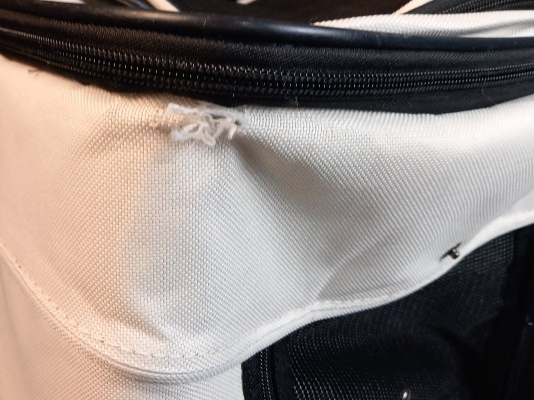 Zaini: CODACA Haustier Rucksack – Usato da Hünenberg venduto da Restwert_Zug 6