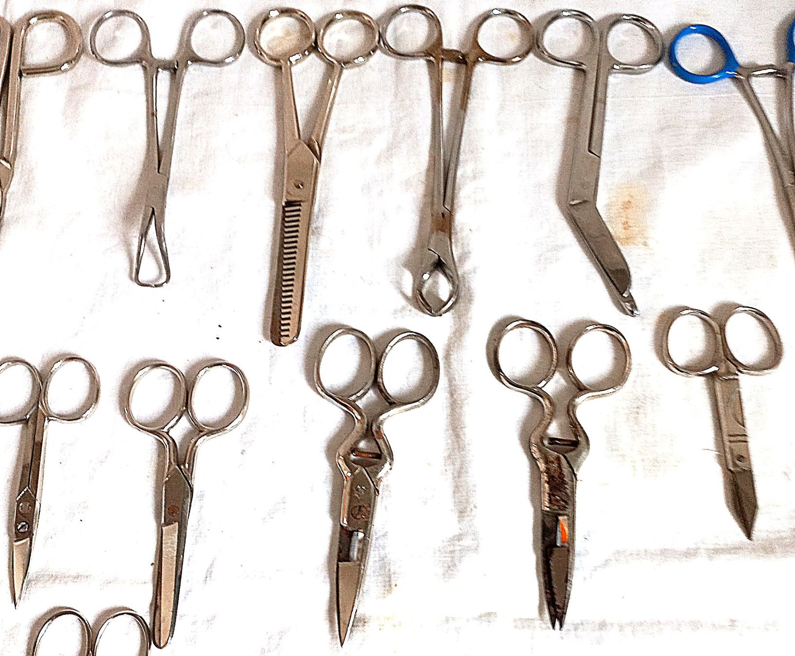 Tutti gli attrezzi: Scheren Sammlung Medizinische Scheren – Usato da Baar venduto da 2cvbaar 2