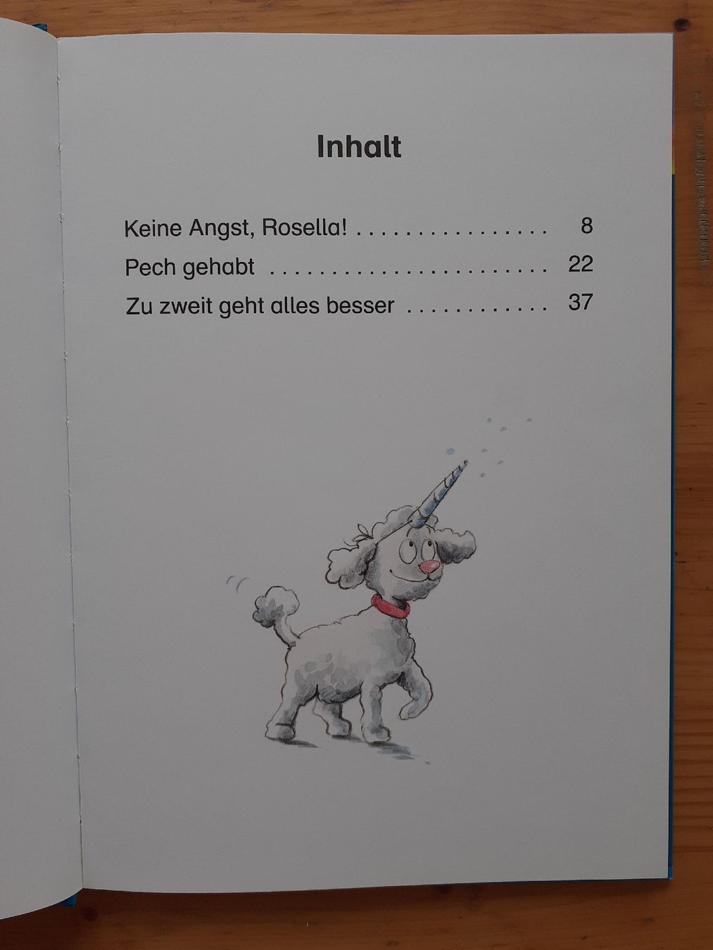 Libri: Leselöwen 2. Klasse Einhorngeschichten – Usato da Chur venduto da Knuffer 1