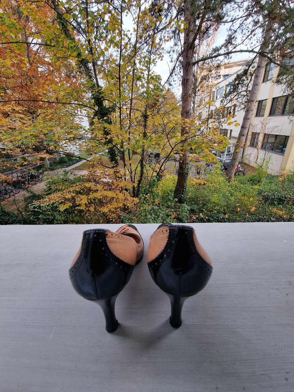 Scarpe da donna: Sergio Rossi 38 – Usato da Basel venduto da chingson 3