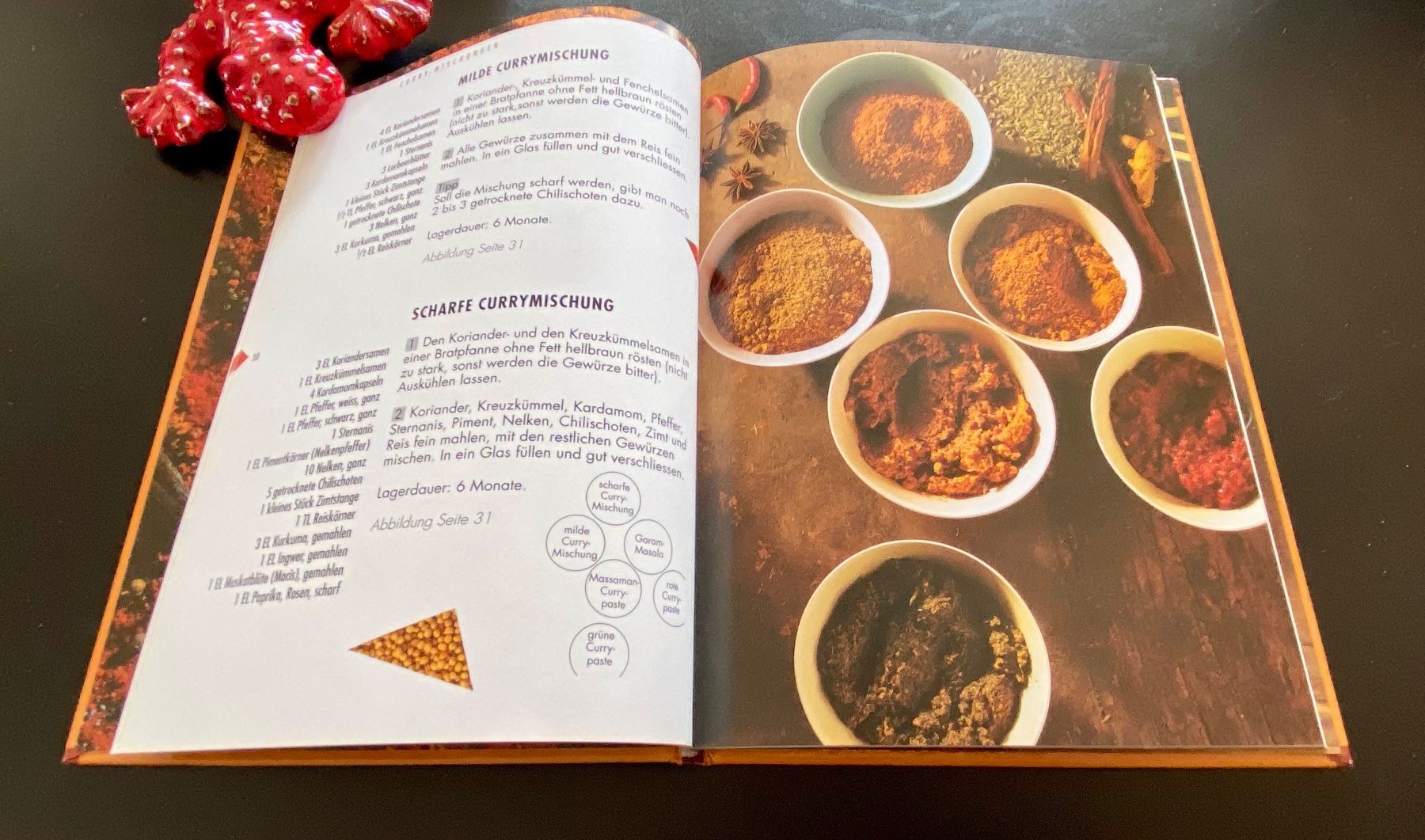 Bücher: CURRY – Gebraucht aus Nussbaumen AG von schuba2000 3