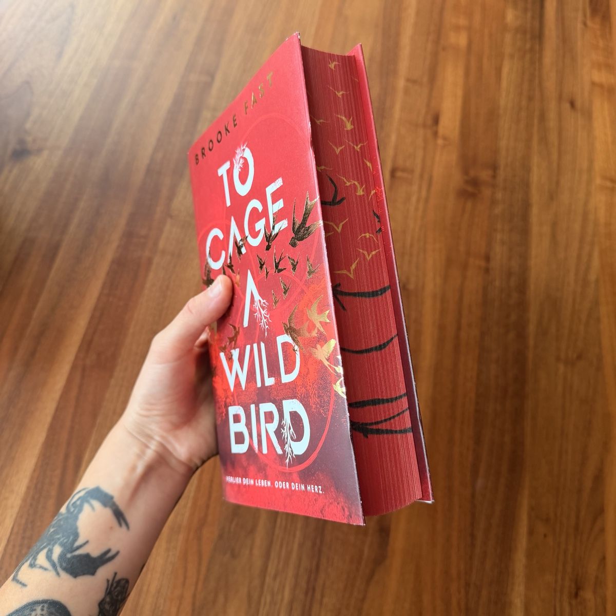 Libri: Brooke Fast - To cage a wild bird – Usato da Solothurn venduto da coexism 4