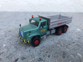 Saurer
