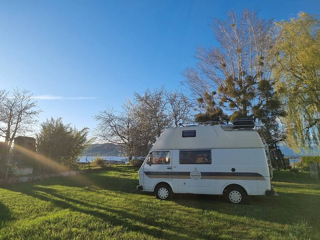 VW Veicoli da campeggio: VW LT 31 Sven Hedin "Nepomuk" (ab MFK, Preis VB)) – Usato da Oftringen venduto da spucki