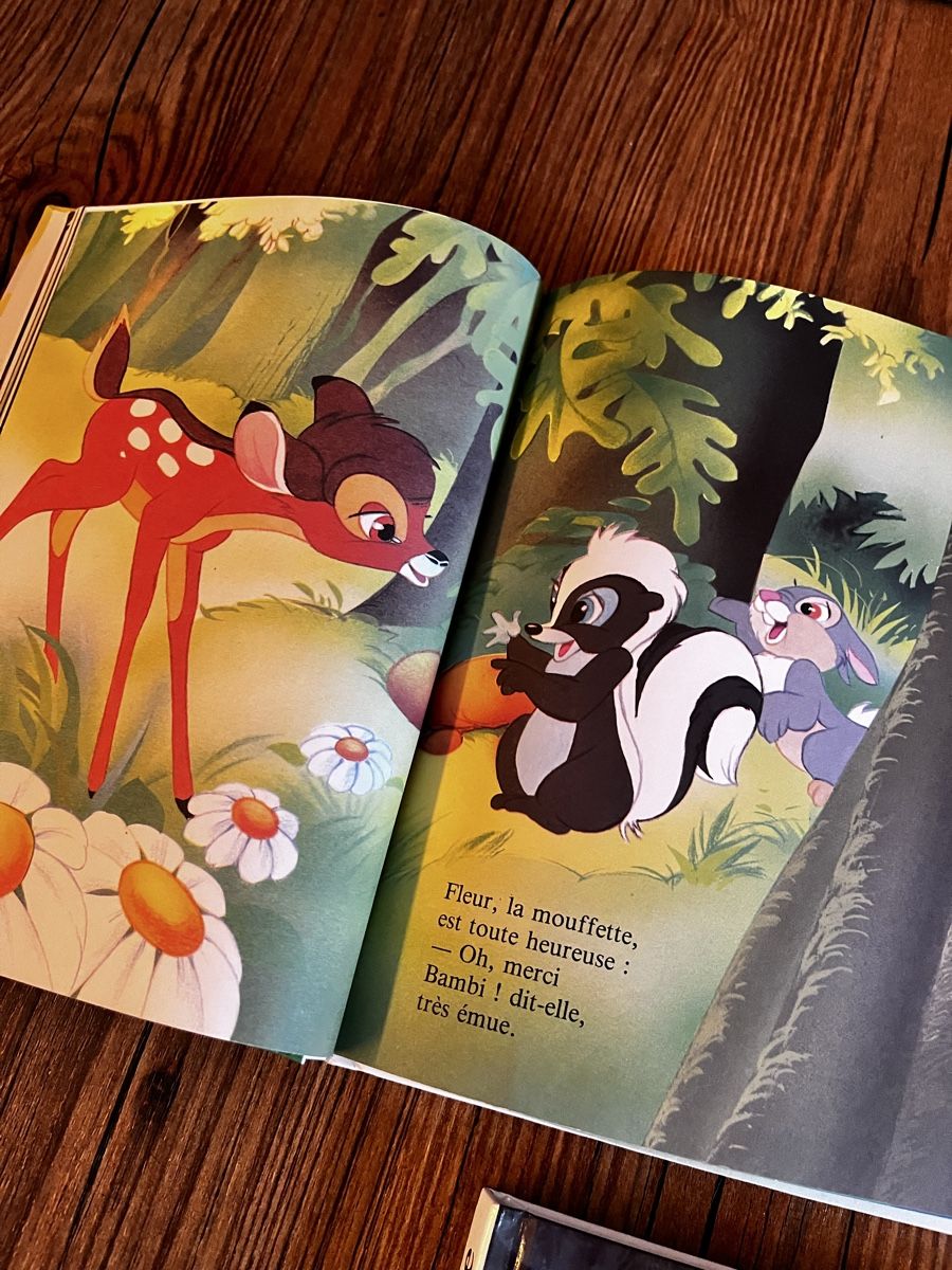 Libri: 10 livres Disney, 10 Bücher – Usato da Gstaad venduto da BergUndSchnee 2