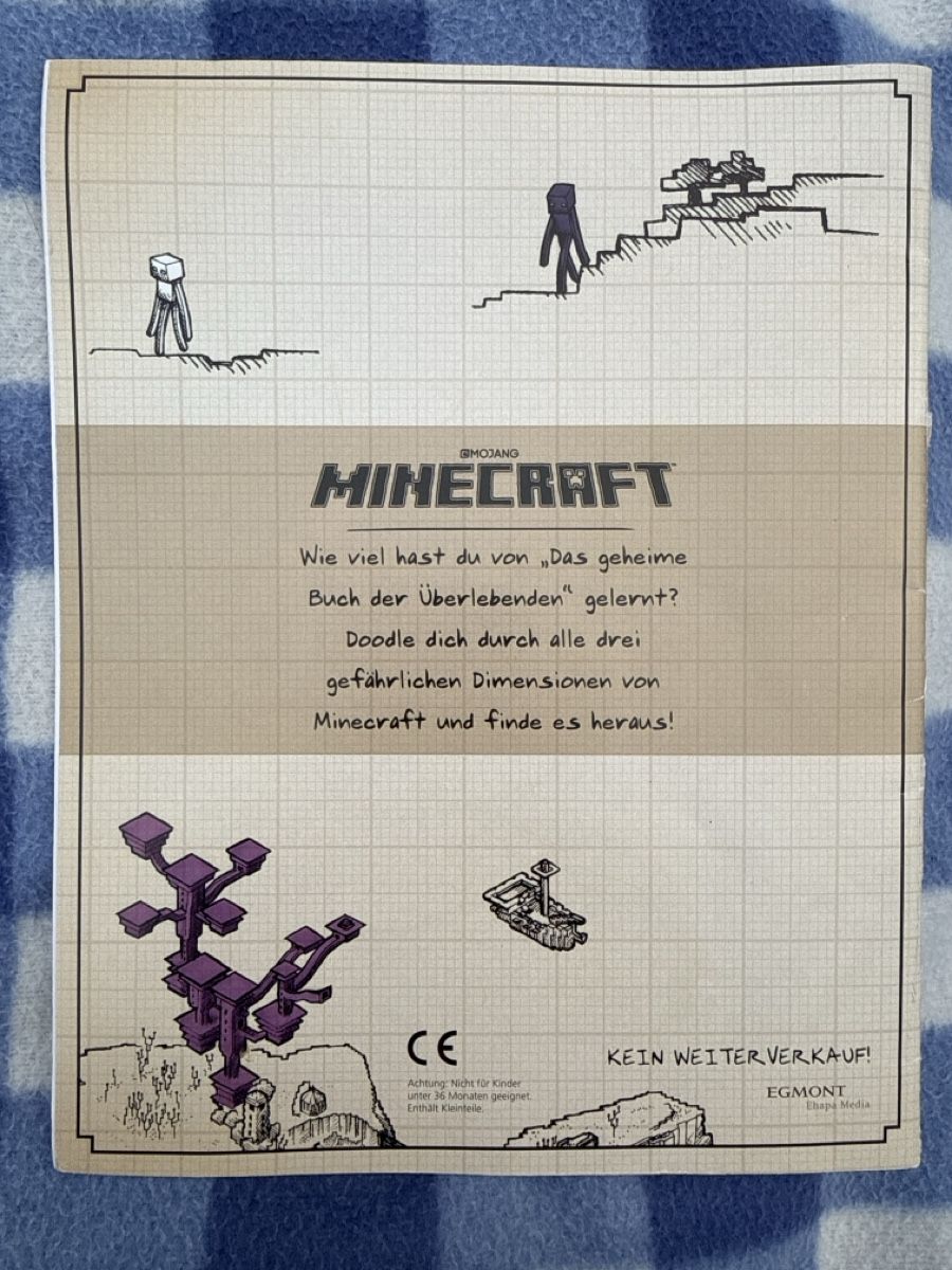 Comics: MINECRAFT das Überlebenden Doodle Buch 📗  – Gebraucht aus Niederbüren von funkel06 3