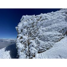 Profile image of AlpenSegler01