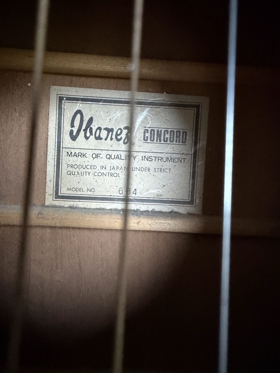 Ibanez Strumenti musicali: Ibanez Concord gekauft 1979 – Usato da Domat/Ems venduto da TETSUDO 6