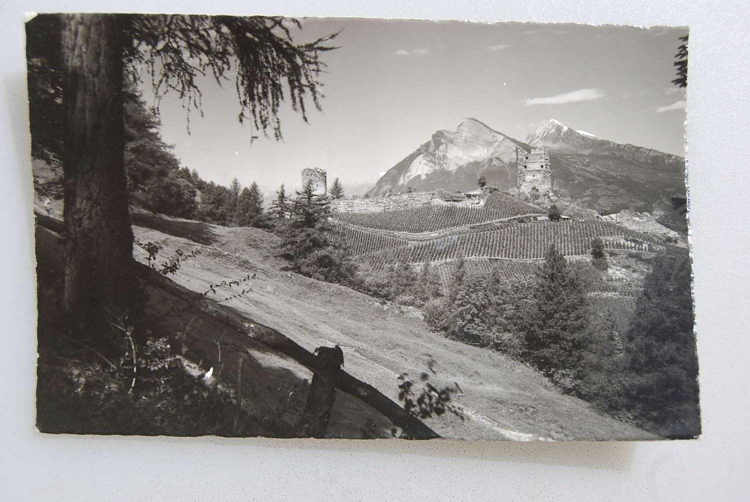 Cartoline postali: AK Ruine Freudenberg mit Gonzen 1954 – Usato da Rüfenacht BE venduto da Toro06