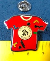 TRNVEREIN HERISAU AP. PIN GLASIERT
