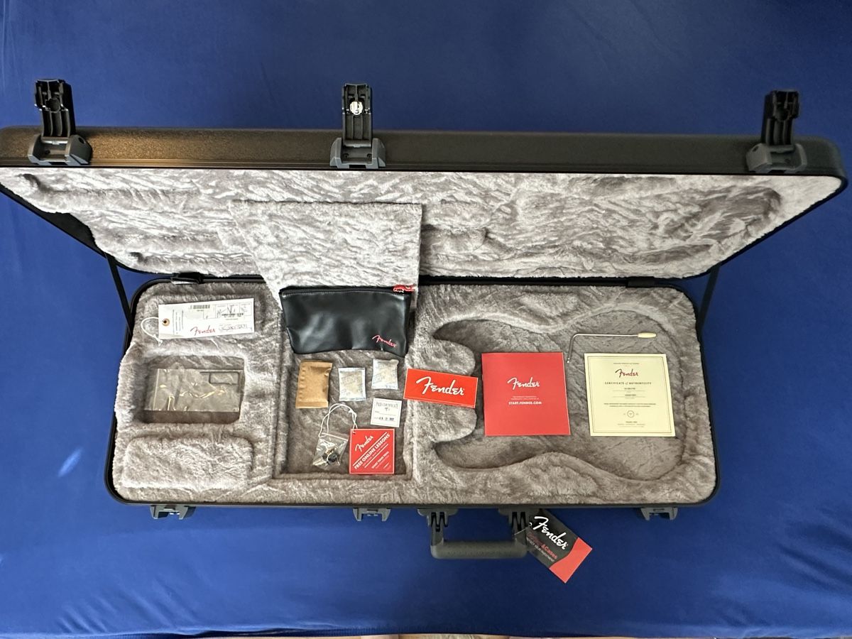 Fender Strumenti musicali: Fender Stratocaster American Professional II HSS – Usato da Goldau venduto da thiilaak 6