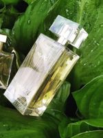 Nilang de Lalique est un parfum Floral fruité 60 ml