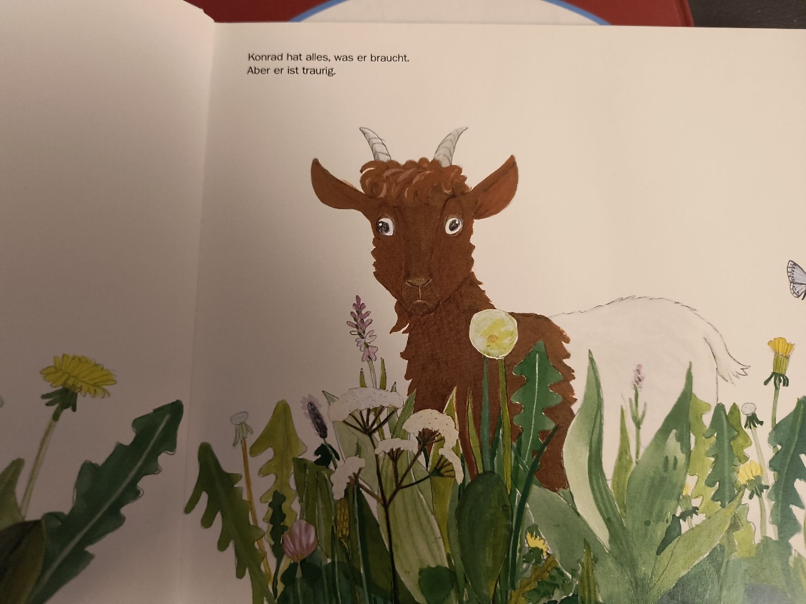 Libri: Kinderbuch Konrad Kupferhals – Usato da Oberweningen venduto da Bumblebee2 3