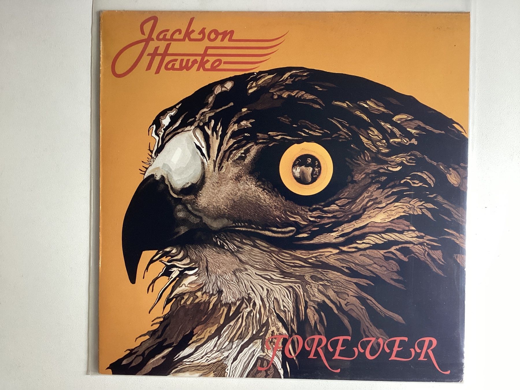 Dischi in vinile: Jackson Hawke LP - Forever – Usato da Gutenswil venduto da Hamzian