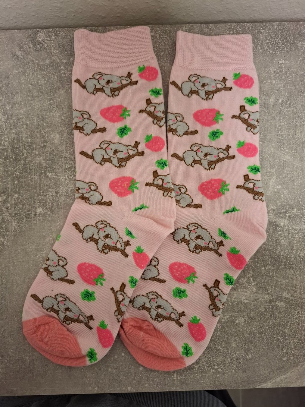 Socken: Socken Koala – Neu und originalverpackt aus Winterthur von andrekeller95