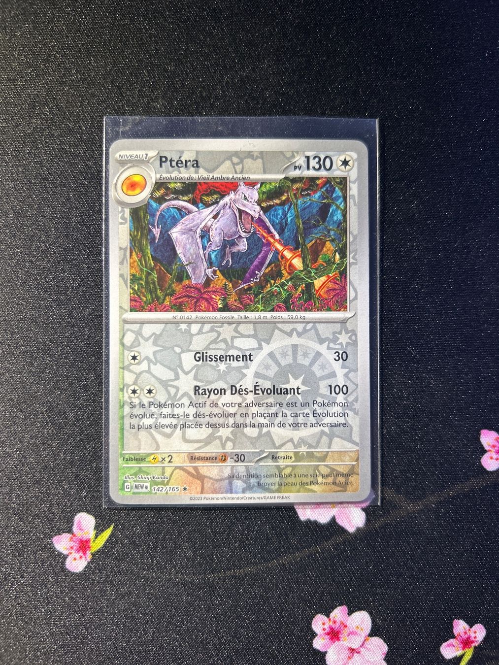 Pokémon Cartes à collectionner: Pokémon Ptéra 142/165 FR REVERSE – Neuf (Voir description) à Montet (Broye) par Jocksmock 2