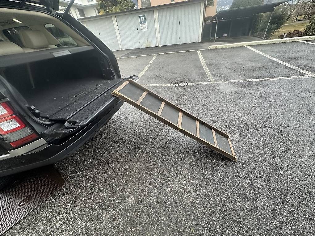 Gabbie, trasporto & Sicurezza: Rampa per cani/ Hunderampe  – Usato da Ascona venduto da gle_2rwz 1