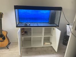 Aquarium Juwel Rio 240 schwarz
