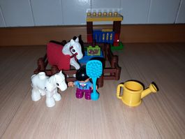 Lego Duplo Pferde 10806