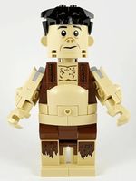 LEGO Harry Potter spa0044 Grawp - Set 75967 - Brick Built