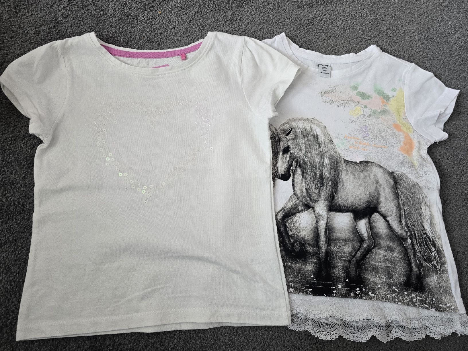 Blouses, T-shirts & Tops: 2 T-Shirts Mädchen Grösse 110 – D'occasion à Unterentfelden par Panda-87