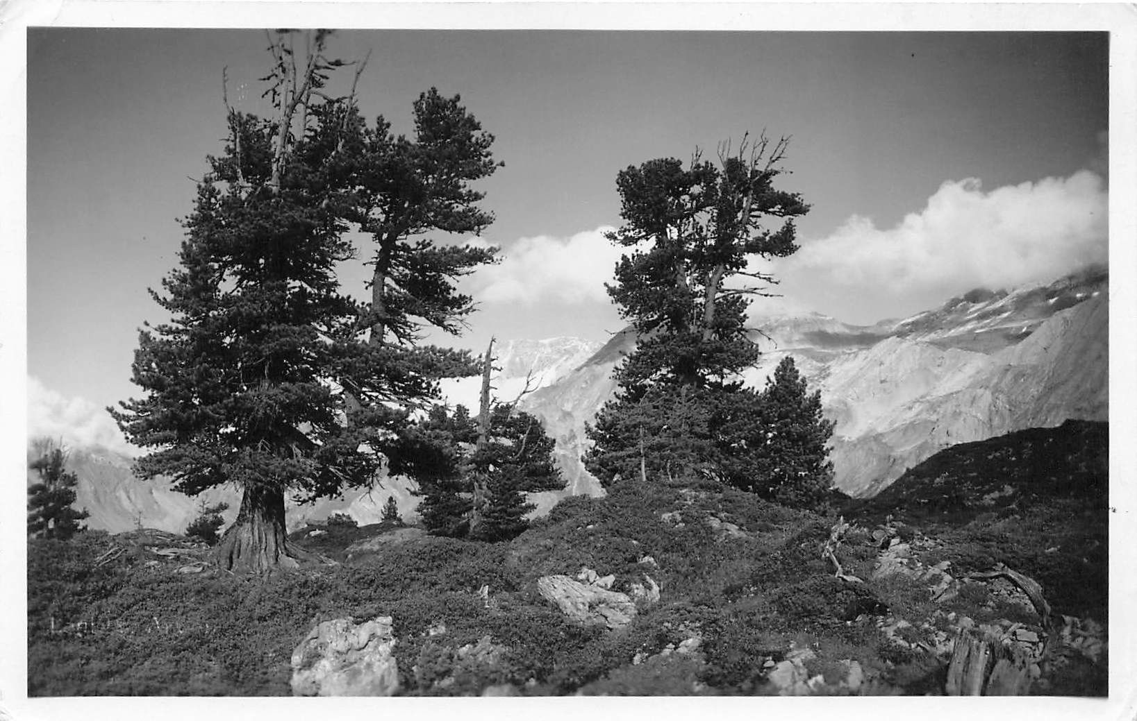 Cartoline postali: Lenk arven vom hohberg – Usato da Biasca venduto da Blenio71