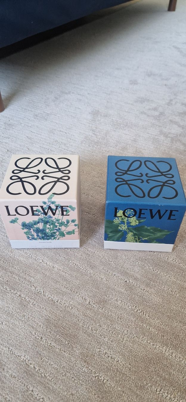 Sonstige Dekorationen & Accessoires: 2 boîtes Loewe  – Gebraucht aus Vevey von juliusca