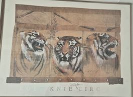 Kunstdruck Rolf Knie Circus Tiger gerahmt guter Zustand