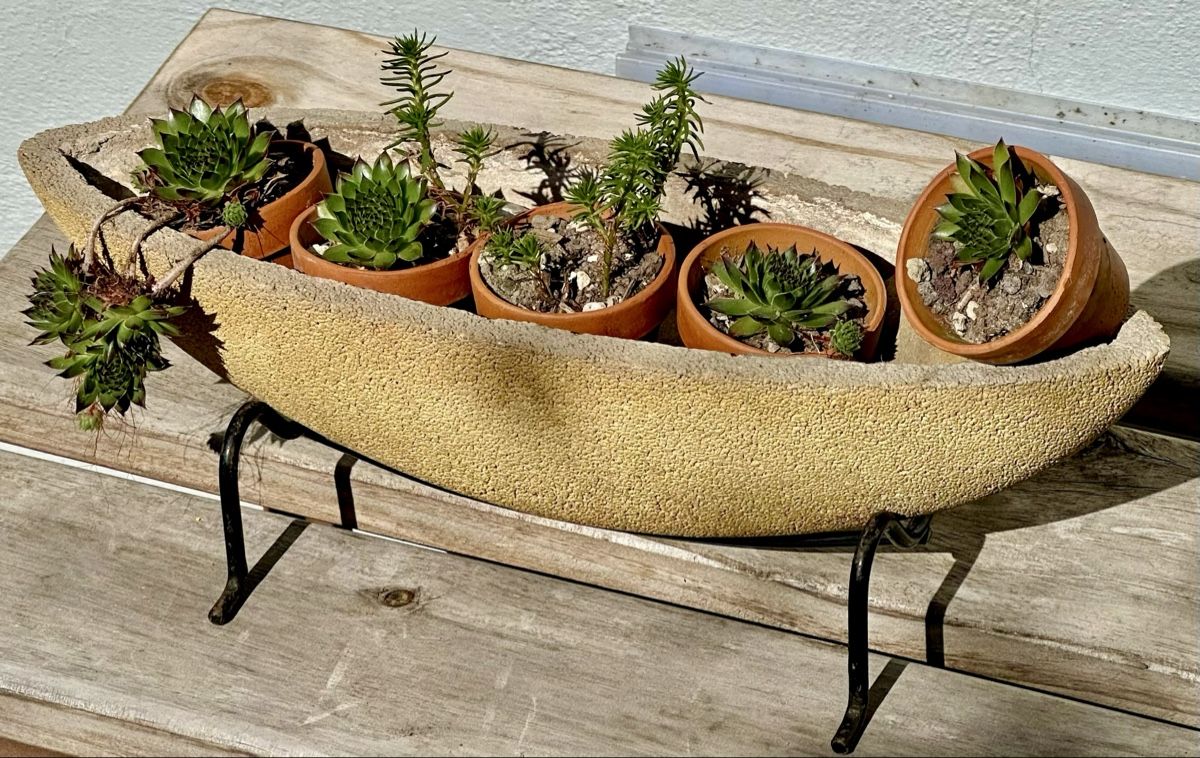 Vasi per fiori: Deko-Boot Pflanzschale auf Metallgestell – Usato da Kleindöttingen venduto da lau_k778