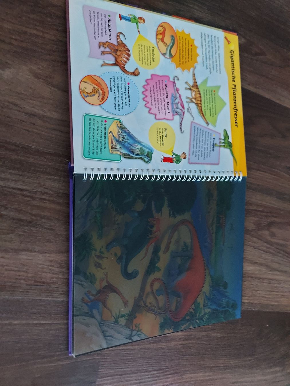 Libri: 2x Dinosaurier Bücher – Usato da Altishofen venduto da tammy05 5