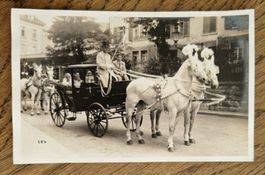 Kutsche, Schimmel, Altstätten ZH?