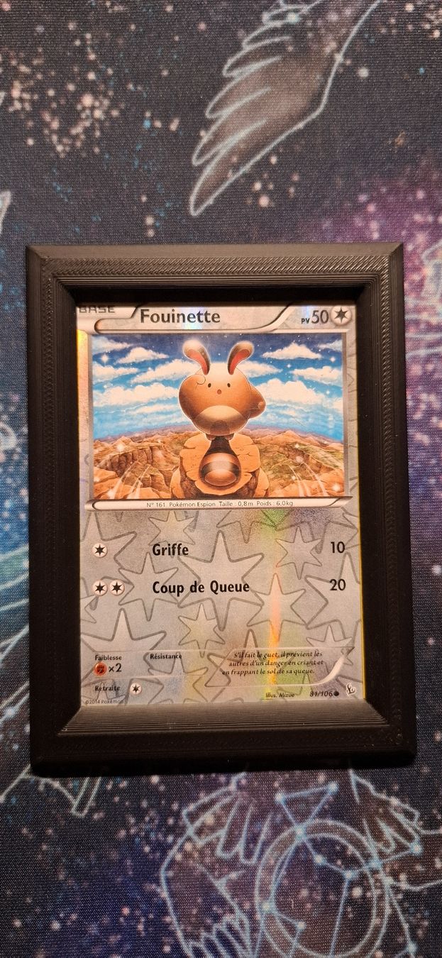 Pokémon Carte collezionabili: Fouinette Reverse 81/106 - Ténèbres Embrasés FR – Usato da Petit-Lancy venduto da Kara_TCG