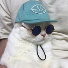 Profile image of jay_sells_things