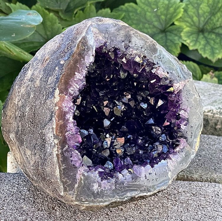 AAA Amethyst Druse Uruguay über 2,1 Kg 4