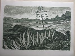 Diggelmann Alex Walter  LITHOGRAPHIE
