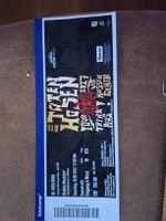 die toten hosen konzert .Am19.06.27