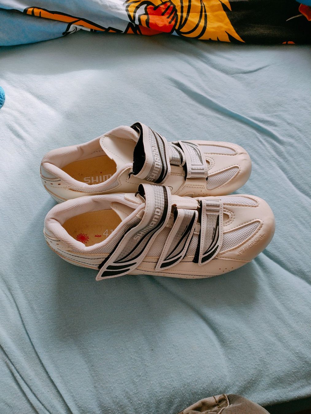 Shimano Damenschuhe: Shimano Schuhe WR 31 Nummer 41 – Gebraucht aus Uster von enzo1981 2