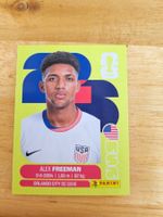 Panini FIFA World Cup USA 6