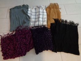 6 x SCHAL