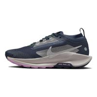 Nike Pegasus Trail 5 GORE-TEX