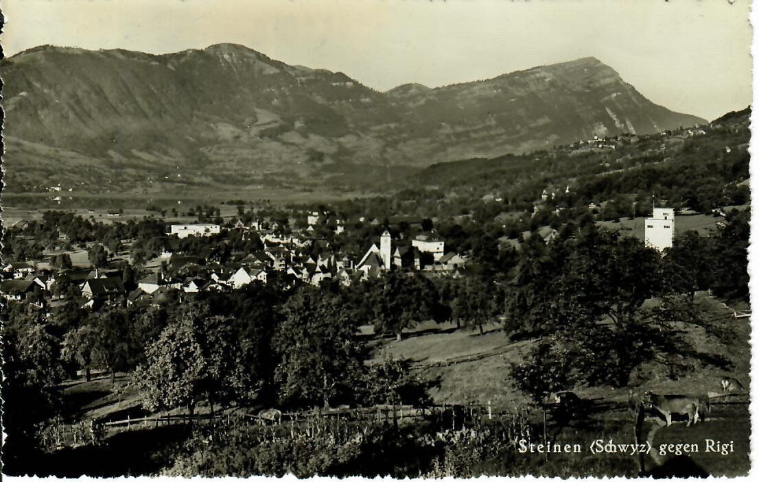 Cartoline postali: Steinen Schwyz 1944 – Usato da Hochdorf venduto da Ziegel-16